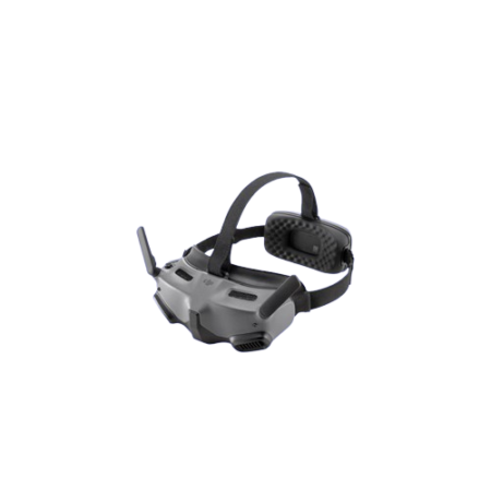 FPV Goggles